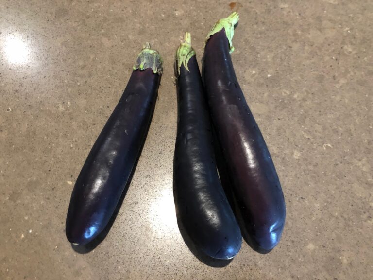 Eggplant dish 11 Lady finger roasted eggplant My big big birth year